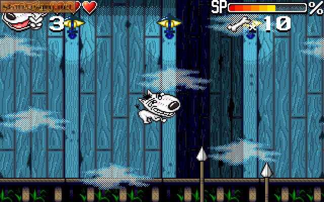 Mad Dog's Adventures