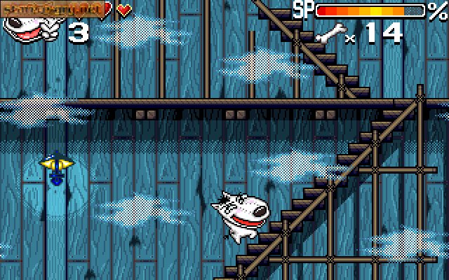 Mad Dog's Adventures