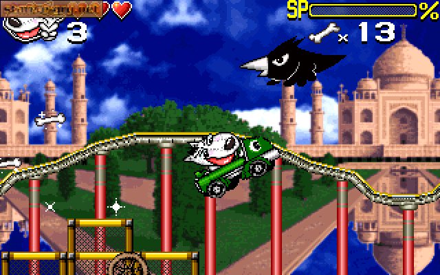 Mad Dog's Adventures