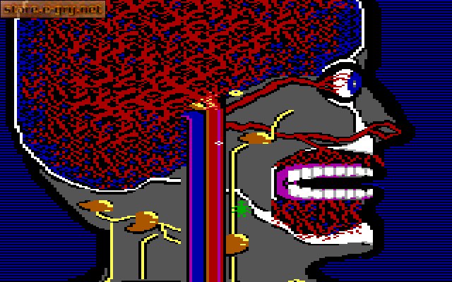 Microsurgeon