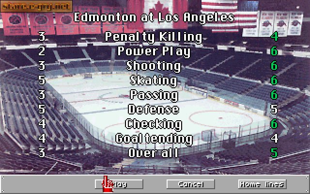 NHL Hockey
