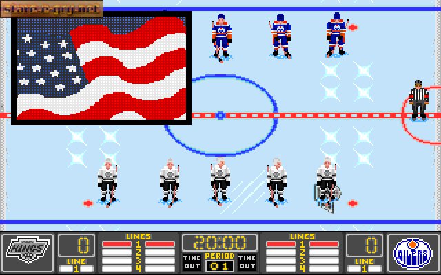 NHL Hockey