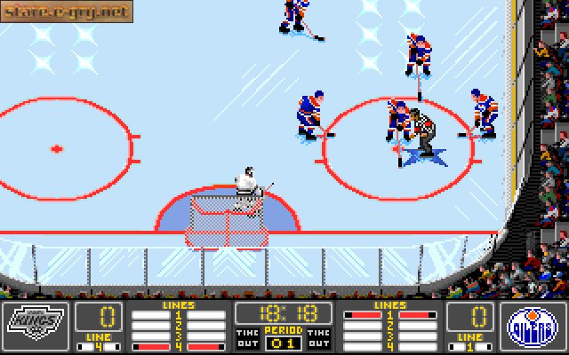 NHL Hockey