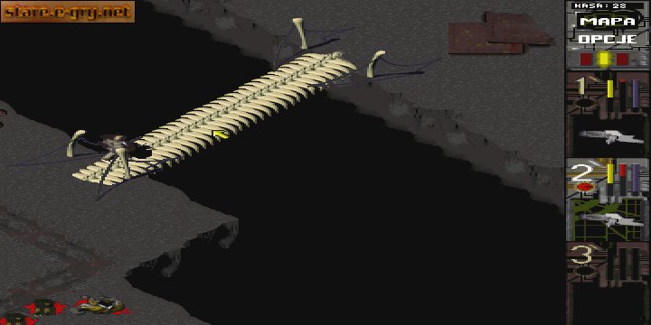 Przeklęta Ziemia