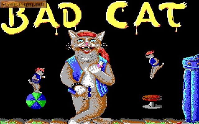 Street Cat