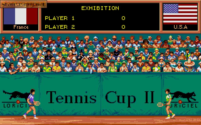 Tennis Cup 2
