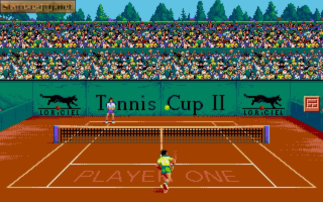 Tennis Cup 2