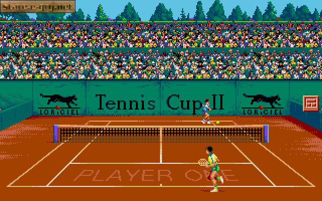 Tennis Cup 2