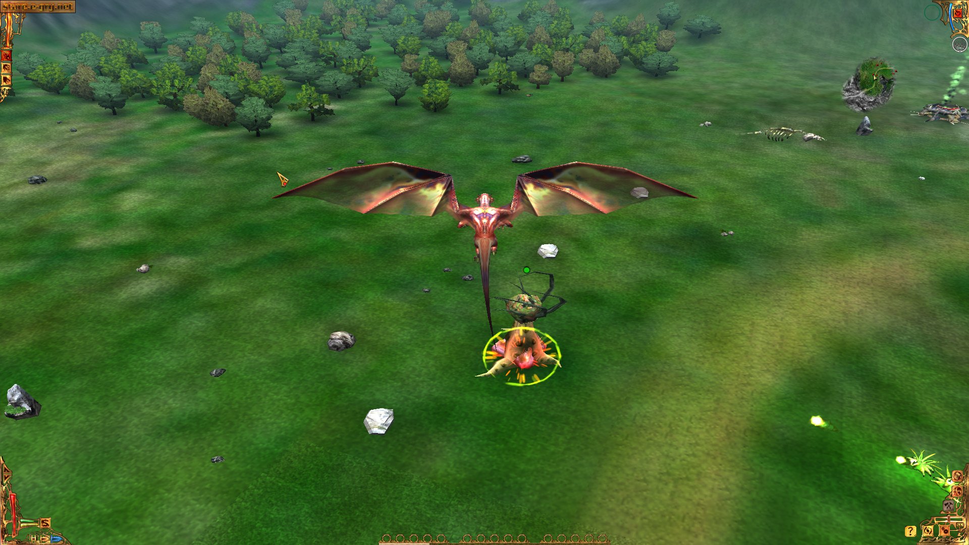 The I of the Dragon