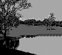 PGA Tour 96