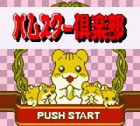 Hamster Club