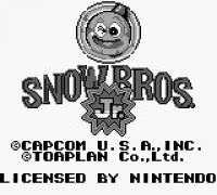 Snow Bros. Jr.