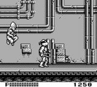 Teenage Mutant Hero Turtles: Back from the Sewers