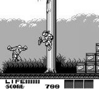 Teenage Mutant Hero Turtles III: Radical Rescue