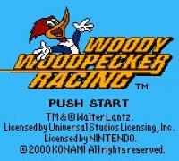 Woody Woodpecker Racing