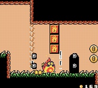 Wario Land II