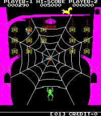 Frog & Spiders