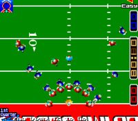 Gridiron Fight