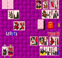 AV Hanafuda Hana no Christmas Eve