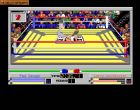 4D Sports Boxing:  