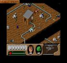 Screen gry Arnie 2: 