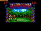 Barbarian: The Ultimate Warrior:  
