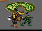 Battletoads: Battletoads 