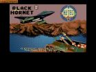 Screen - Black Hornet