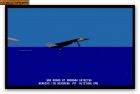 F-19 Stealth Fighter:  