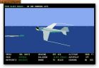 Flight of the Intruder:  
