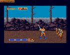 Golden Axe:  