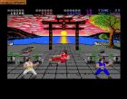 International Karate + (IK+):  