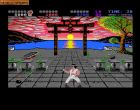International Karate + (IK+):  