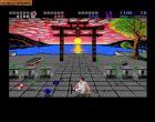 International Karate + (IK+):  