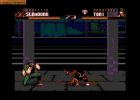 Shadow Fighter:  