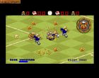 Wild Cup Soccer:  