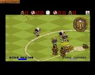 Wild Cup Soccer:  