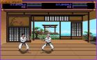Budokan: The Martial Spirit: Gra 'Budokan: The Martial Spirit' 