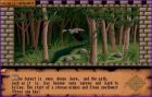 Dungeon Quest: Obrazek z gry Dungeon Quest 