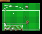 Empire Soccer 94: Obrazek z gry Empire Soccer 94 