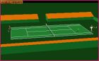 International 3D Tennis: International 3D Tennis (1990) 