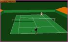 International 3D Tennis: International 3D Tennis (1990) 