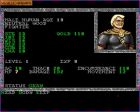Obrazek z gry Pool of Radiance