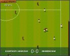 Obrazek z gry Sensible World of Soccer