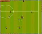 Obrazek z gry Sensible World of Soccer