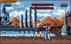 Obrazek z gry Street Fighter