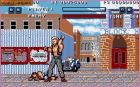 Obrazek z gry Street Fighter