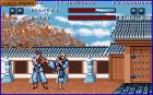 Obrazek z gry Street Fighter