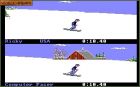 Screen gry The Games: Winter Edition:Screen z gry - The Games: Winter Edition 