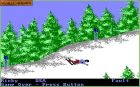 Screen gry The Games: Winter Edition:Screen z gry - The Games: Winter Edition 